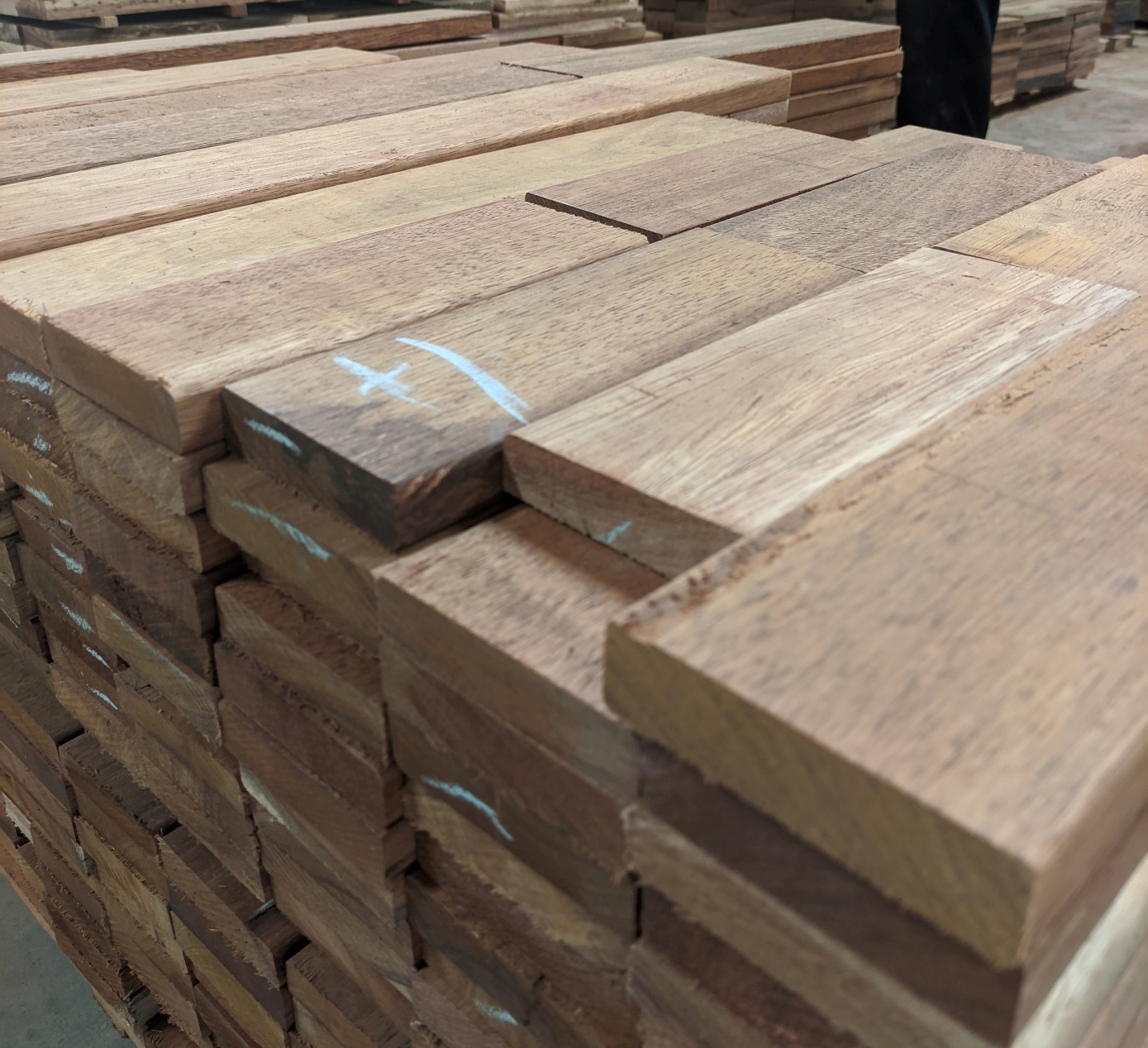 FJL Kayu Meranti
